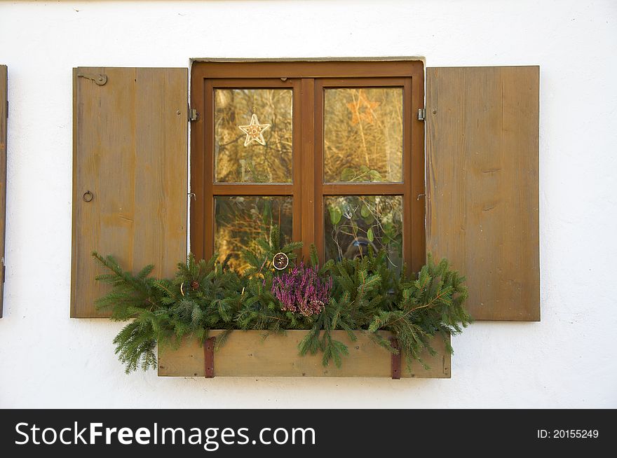 Window and Flower