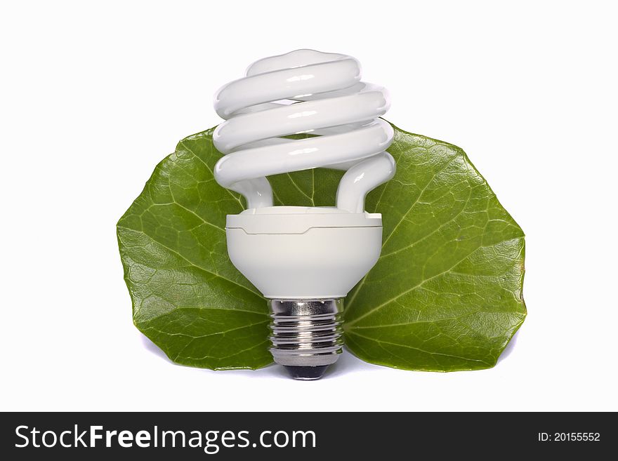 View of a energy efficiency light bulb isolated on a background with vegetation. View of a energy efficiency light bulb isolated on a background with vegetation.