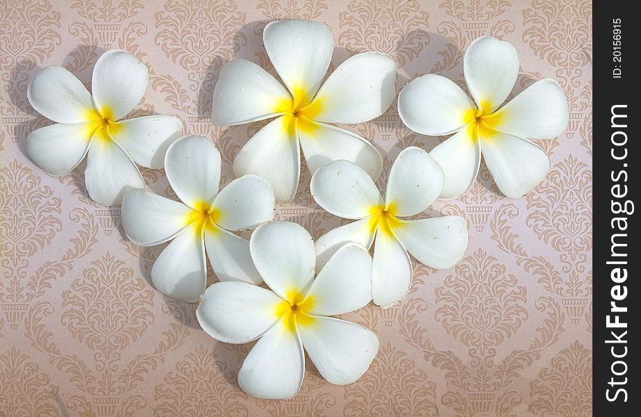 Lan Thom White Flowers.