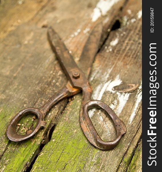 Old scissors on and even older wooden bench (shallow DOF)