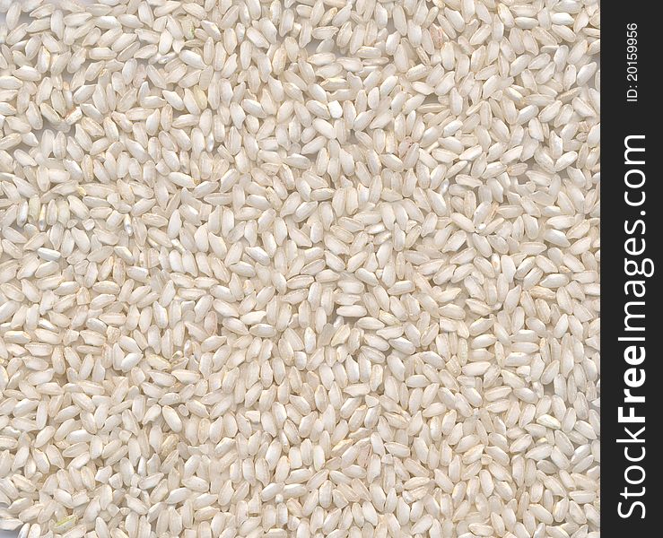 White Rice High Resolution Close-up