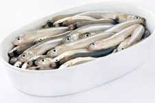 FRESH FISH Stock Image FRESH FISH Stock Image