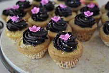 Chocolate Cream Cupcakes Royalty Free Stock Photo Chocolate Cream Cupcakes Royalty Free Stock Photo