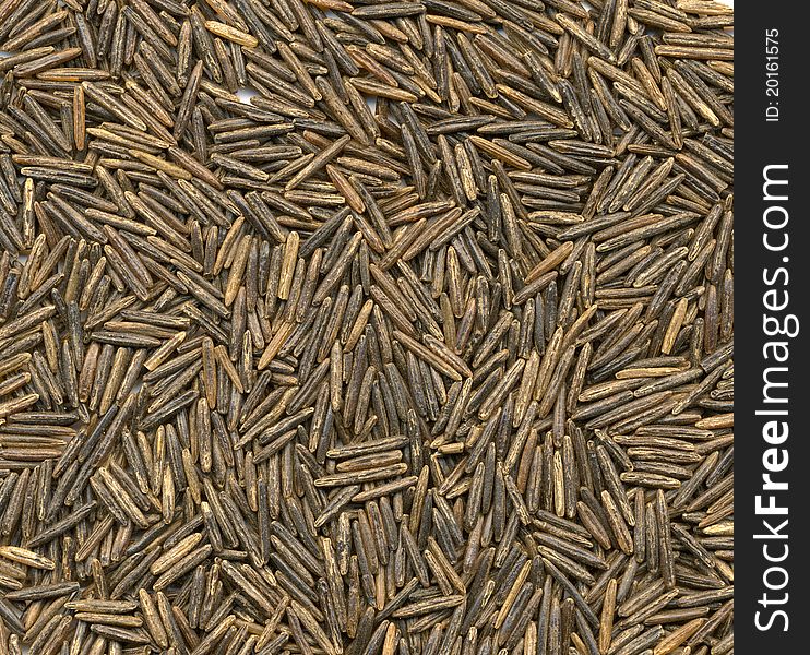 High resolution close-up background of black rice variety. High resolution close-up background of black rice variety