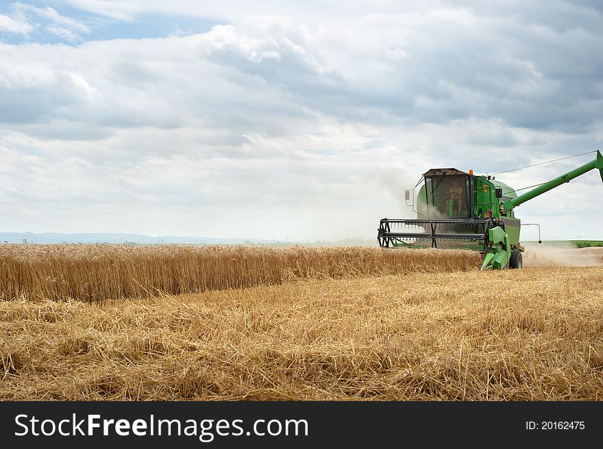 A combine harvester working in a wheat field