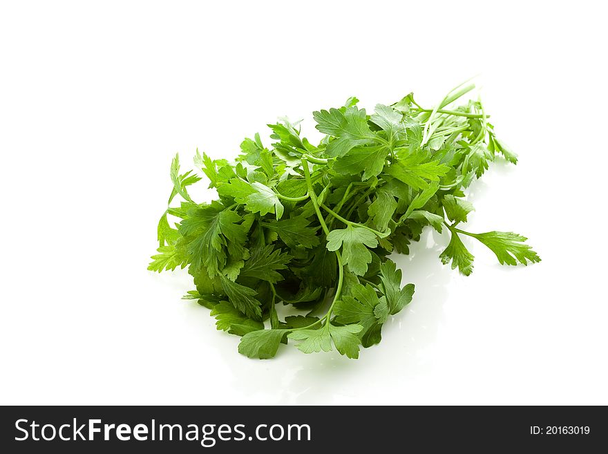 Photo of fresh parsley on white isolated background. Photo of fresh parsley on white isolated background