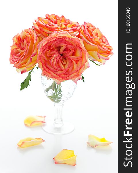 Bouquet of  roses in vase on the white background