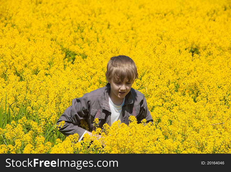 Young boy on yellow field. Young boy on yellow field