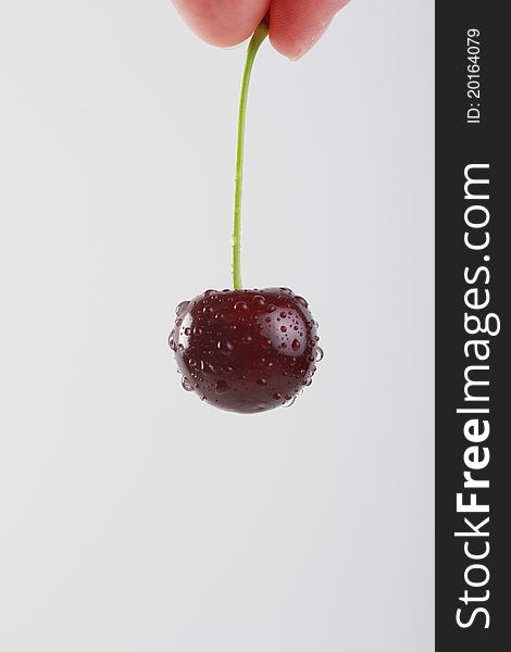 Dark red cherry with waterdrops