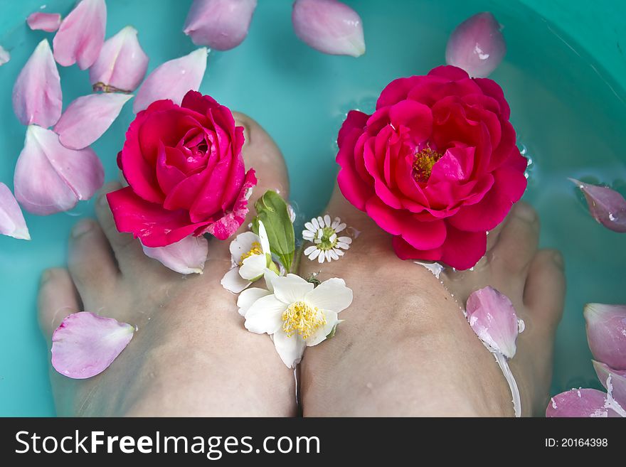 Spa composition of woman's legs and flowers. Spa composition of woman's legs and flowers