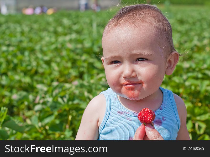 Baby eating strawberry in a strawberry field