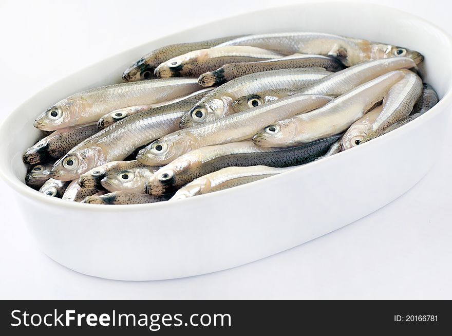 Photo of fresh little anchovies on white background. Photo of fresh little anchovies on white background