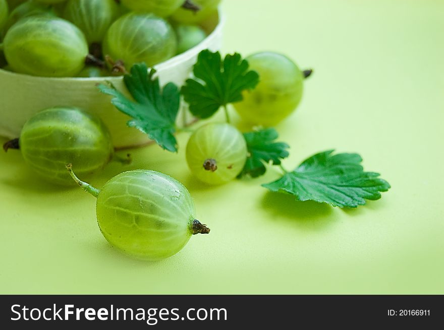 Gooseberries with leaves over green back