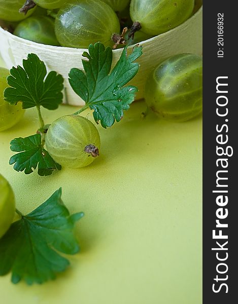 Gooseberries with leaves over green back