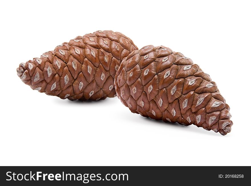 Pine cones