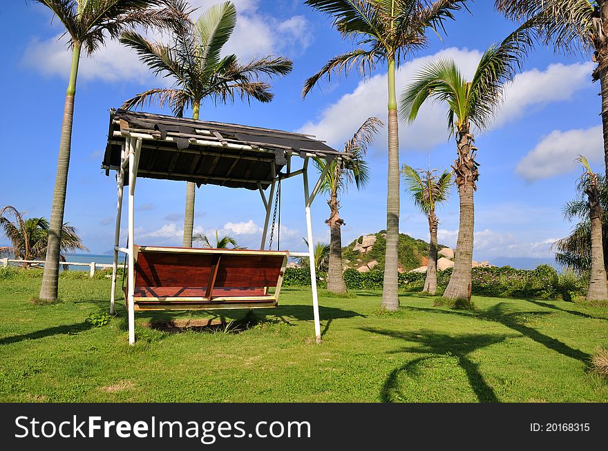 Palm Tree And Swing