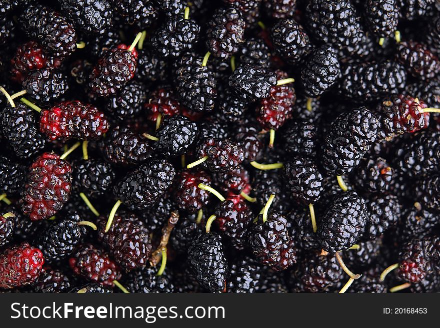 Background texture of fresh mulberries. Selective focus. Background texture of fresh mulberries. Selective focus.