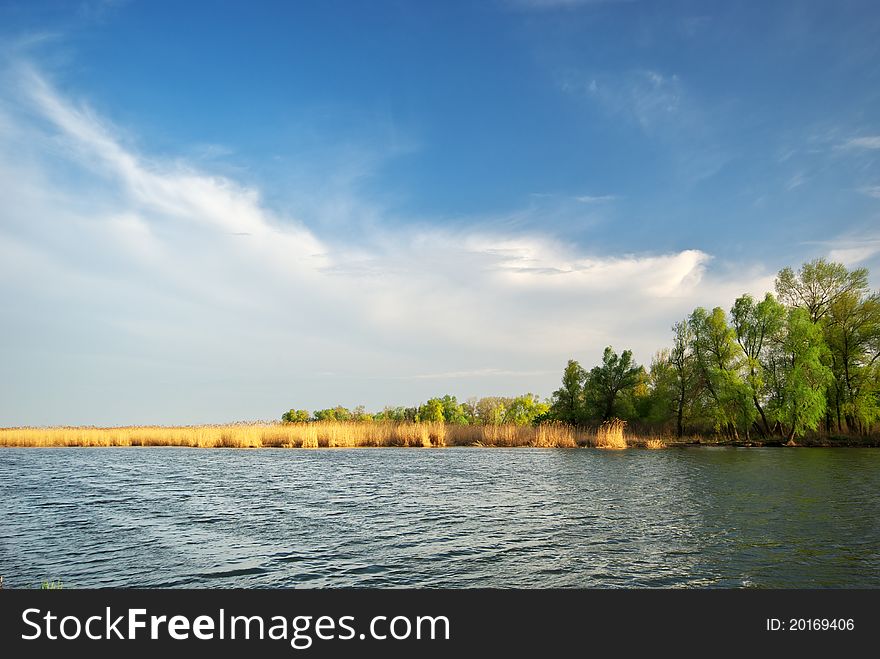 River and spring forest