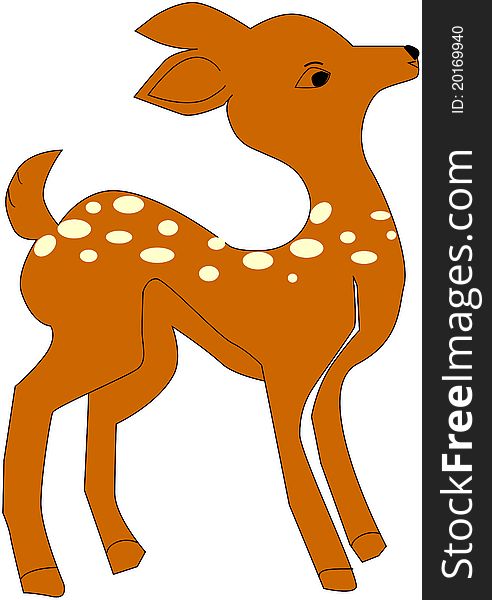 Spotted Deer