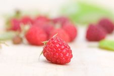 Raspberries Stock Photography