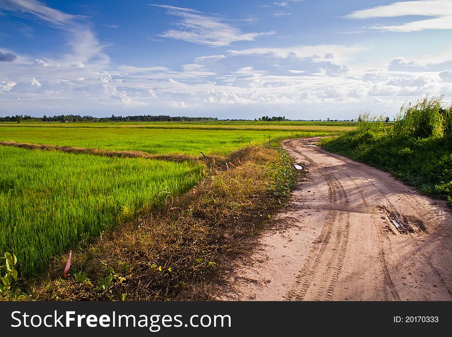 Country road with tire tracks along the paddy farmland in Thailand