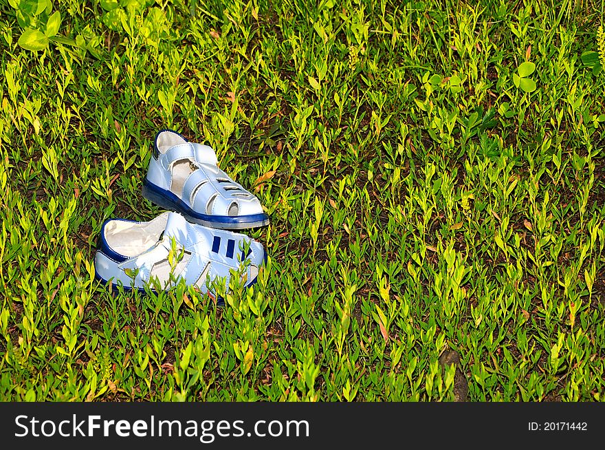 Blue sandals/flip flops on the grass