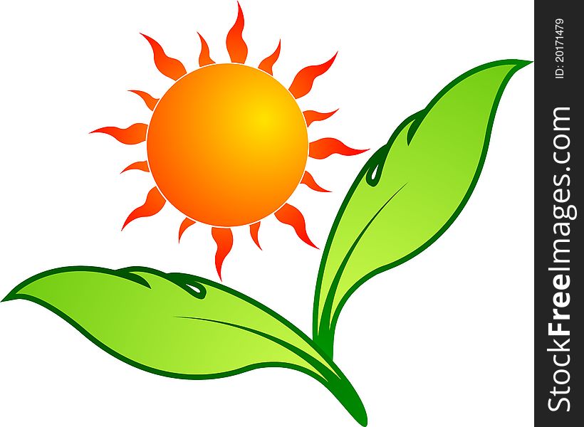 Illustration art of a sun leaf with isolated background