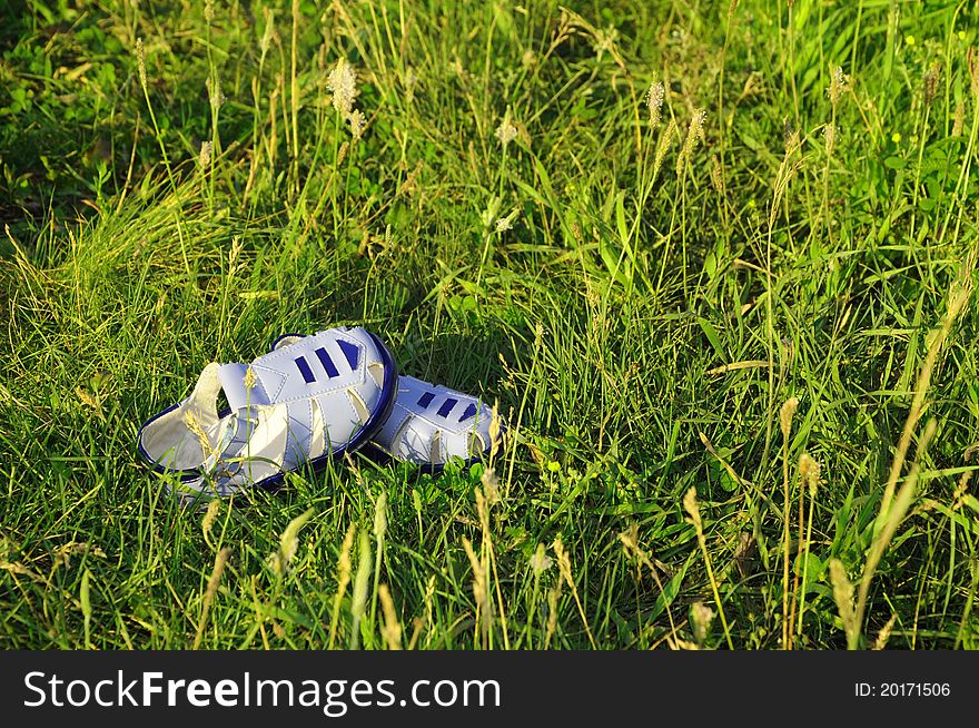 Blue sandals/flip flops on the grass