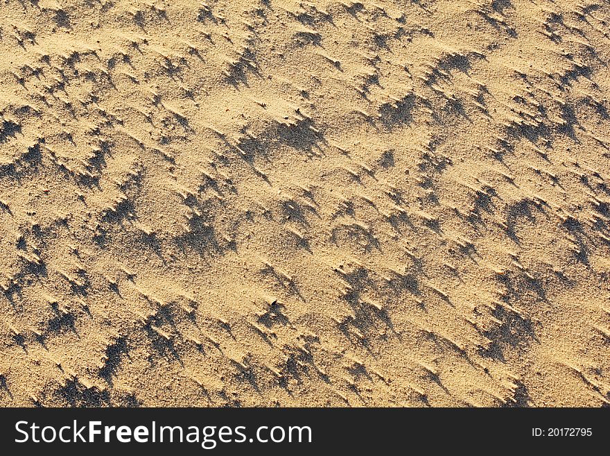 Sand patterns formed by wind, sea shells and shadow of early sun. Sand patterns formed by wind, sea shells and shadow of early sun