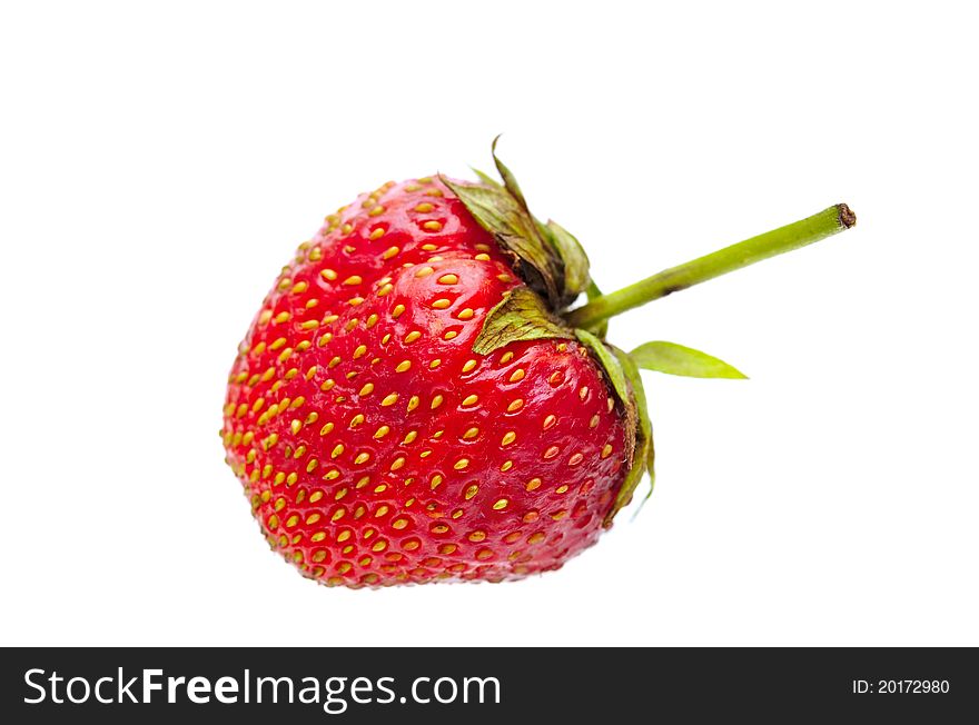A Red Strawberry