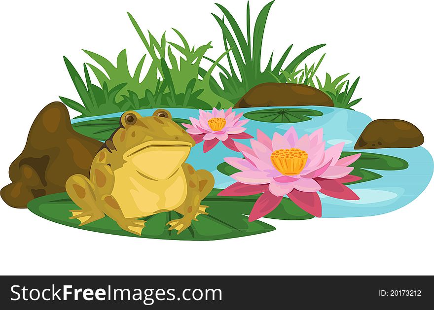 Frog Lotus River