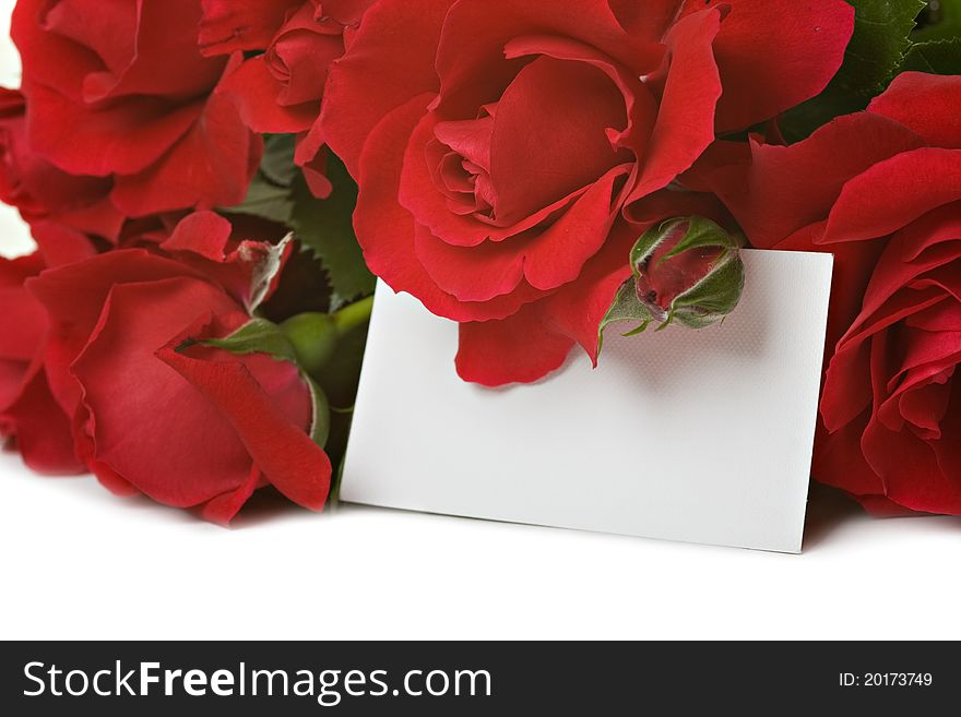 Beautiful roses with a white card isolated over white