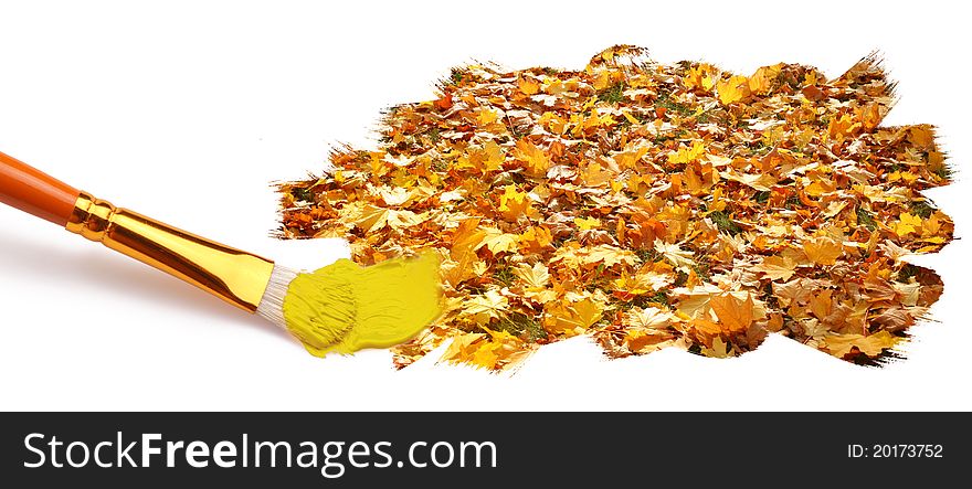 Painting of autumn leaves. On a white background