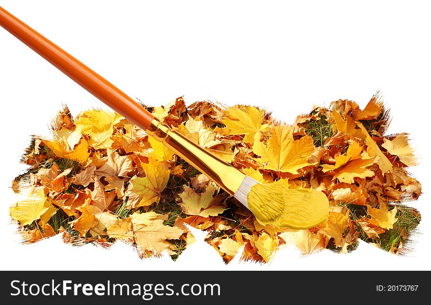 Brush paints the autumn leaves on a white background. Brush paints the autumn leaves on a white background.