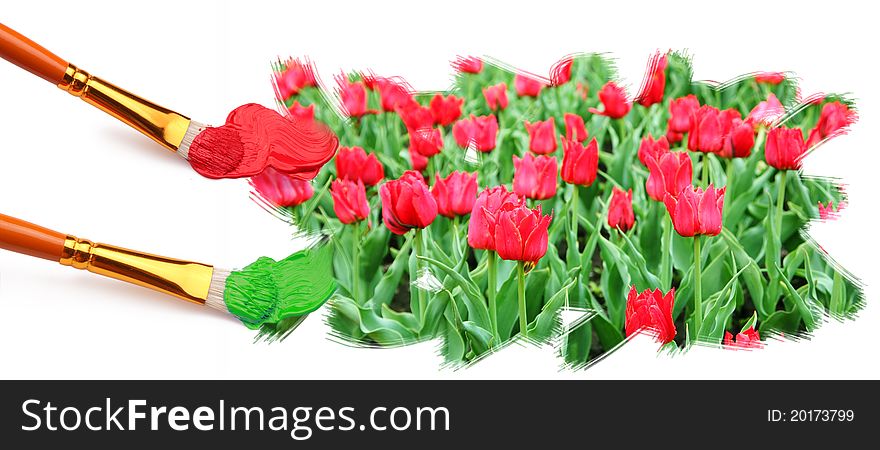 Painting Field Of Red Tulips.