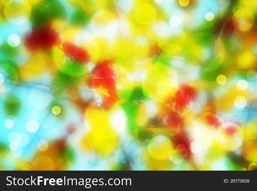 Autumn abstract background with sun beam