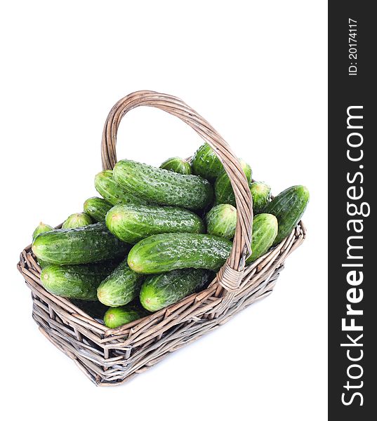 Harvest cucumbers in a basket on white background