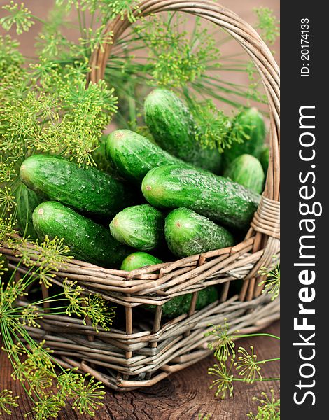 Harvest cucumbers and dill in a basket on the wooden background. Harvest cucumbers and dill in a basket on the wooden background