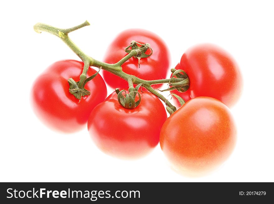 Tomatoes isolated on white background