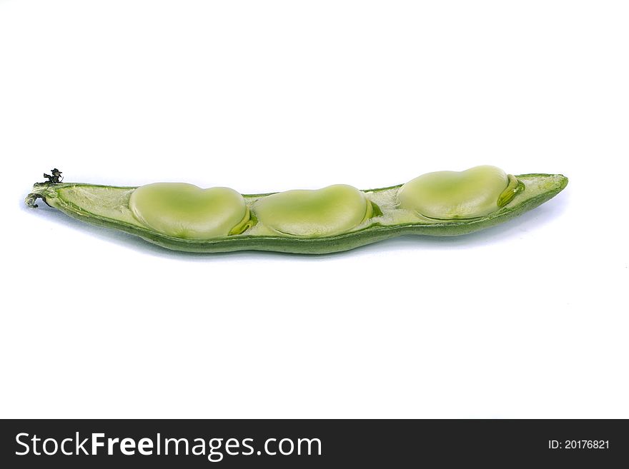 Close up view of some broad beans isolated on a white background.