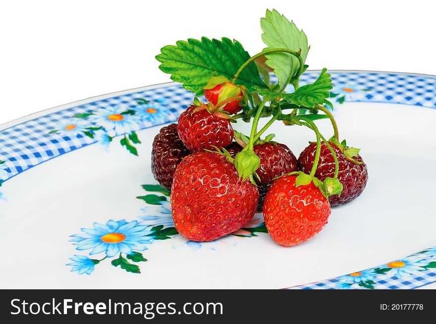 Bush Of Strawberry Lying On Plate