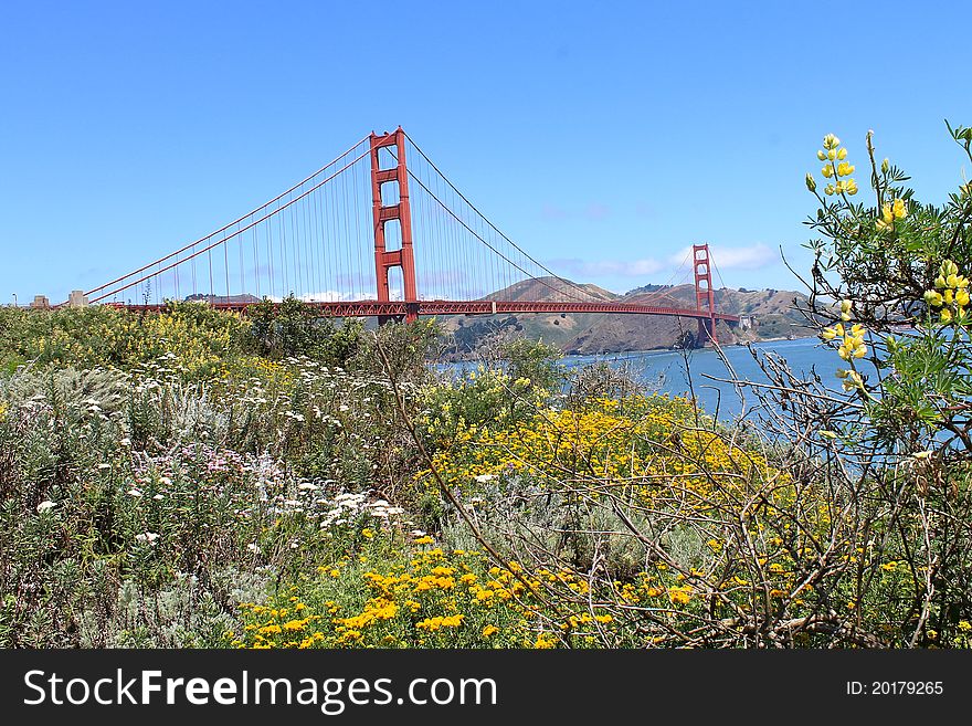 Golden Gate Bridge in San Francisco in summer. Golden Gate Bridge in San Francisco in summer