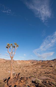 Richtersveld In South Africa Stock Photo Richtersveld In South Africa Stock Photo