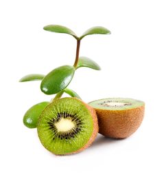 Ripe Kiwi Stock Photo Ripe Kiwi Stock Photo