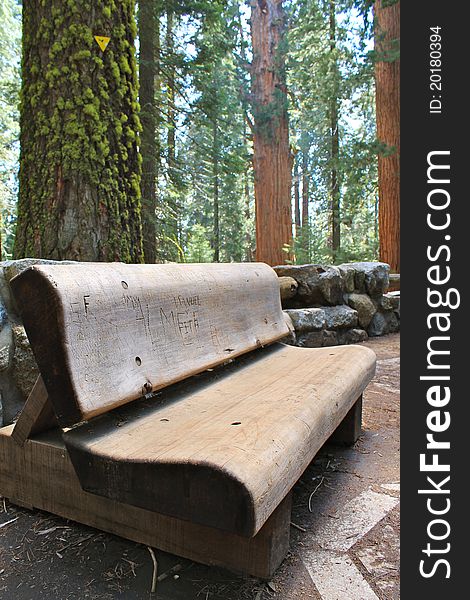 Wood bench in NP Sequoia - California