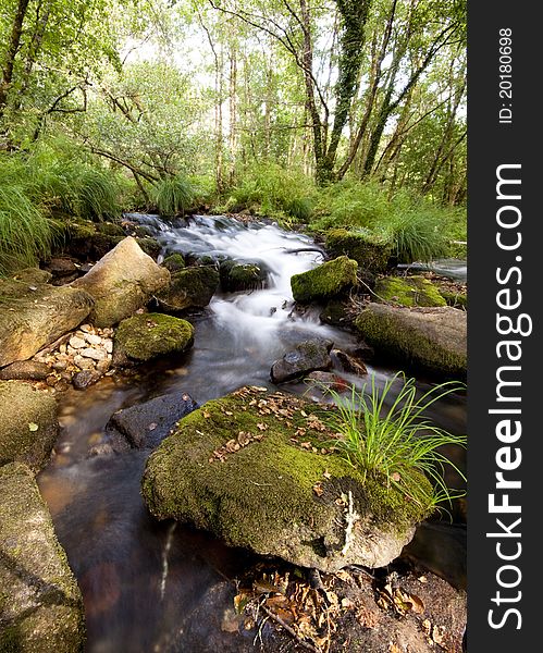 Peaceful mountain stream flows through forest. Peaceful mountain stream flows through forest