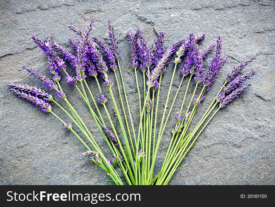 Lavender on a shale stone