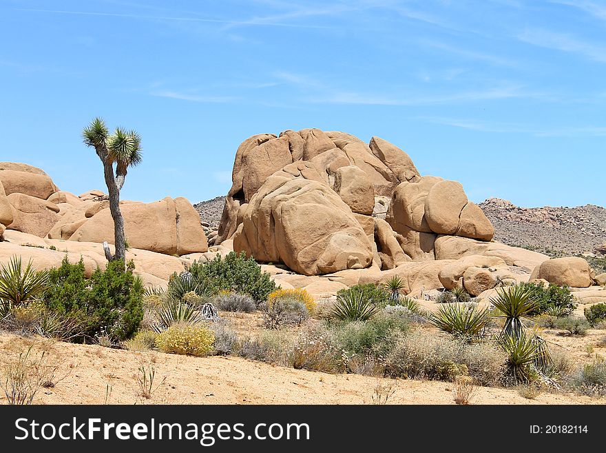 Stones in the desert, NP Joshua tree California