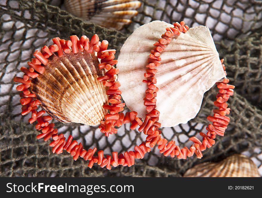 Coral necklace with shells and nice background.