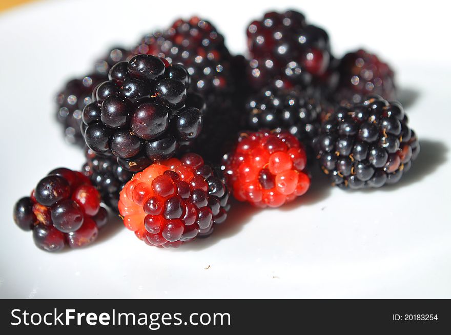 A Color photograph of blackberries. A Color photograph of blackberries